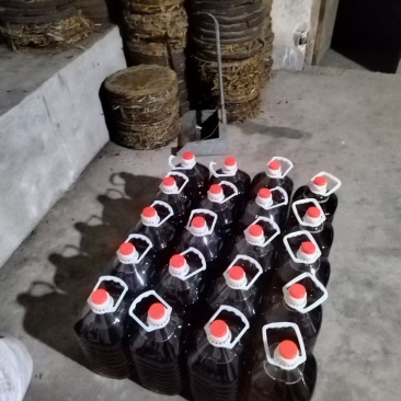 山茶籽油