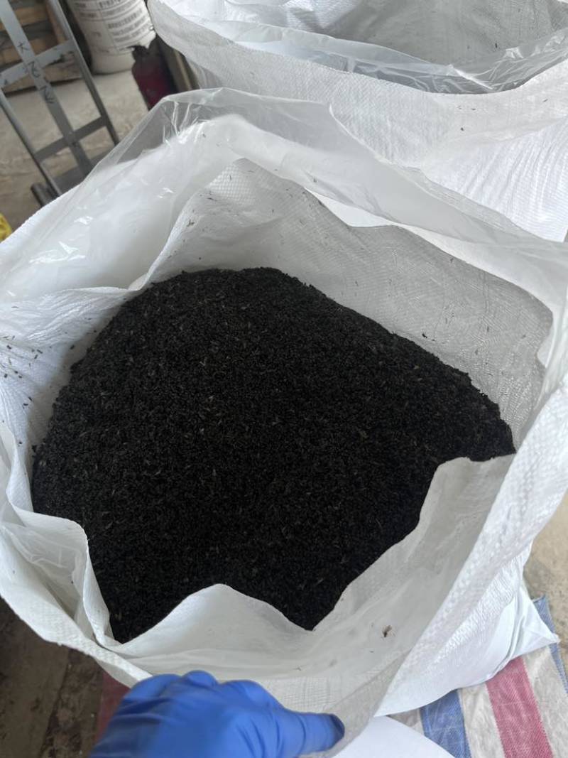 长期批发广西黑蚂蚁泡酒料拟黑多刺黑蚂蚁滋补泡酒料量大从优