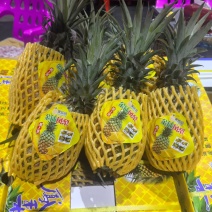 海南树熟金钻凤梨