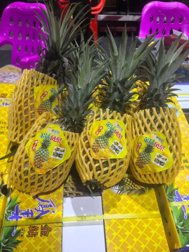 海南树熟金钻凤梨