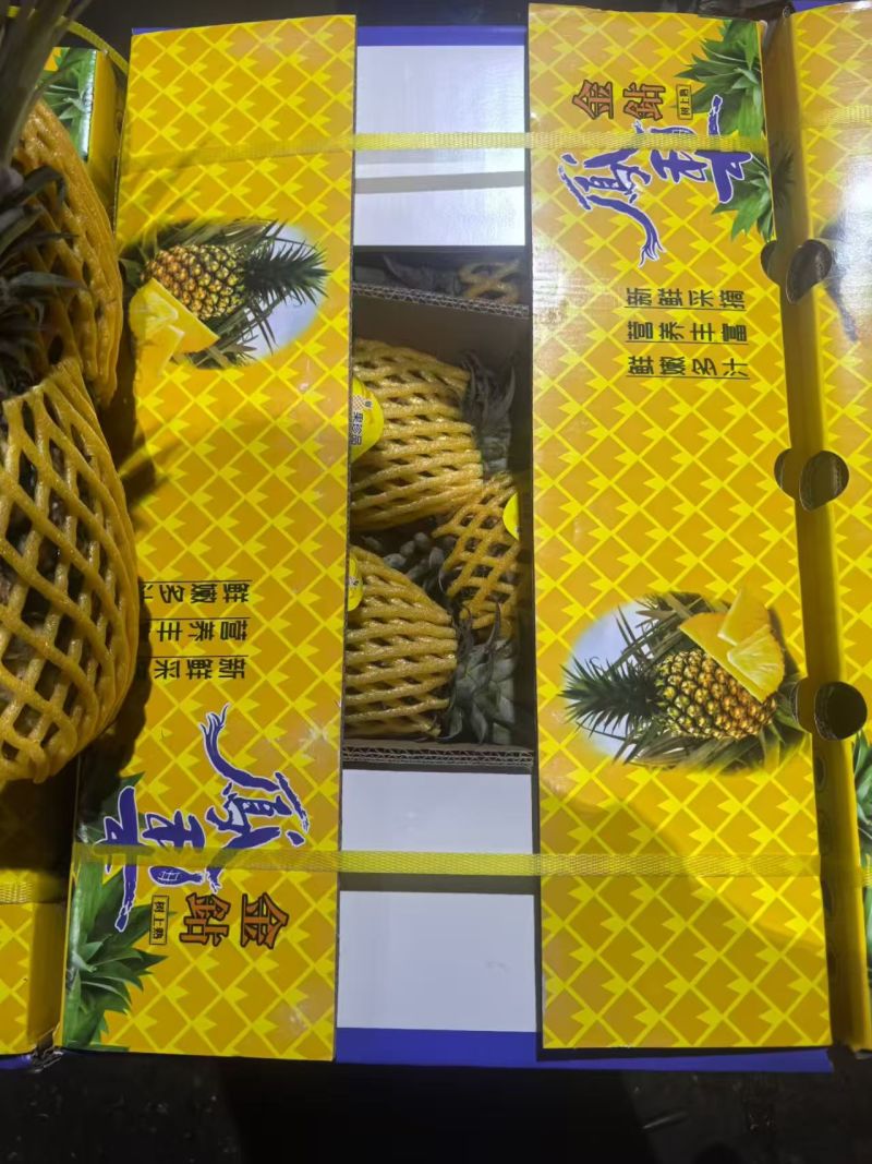 海南树熟金钻凤梨