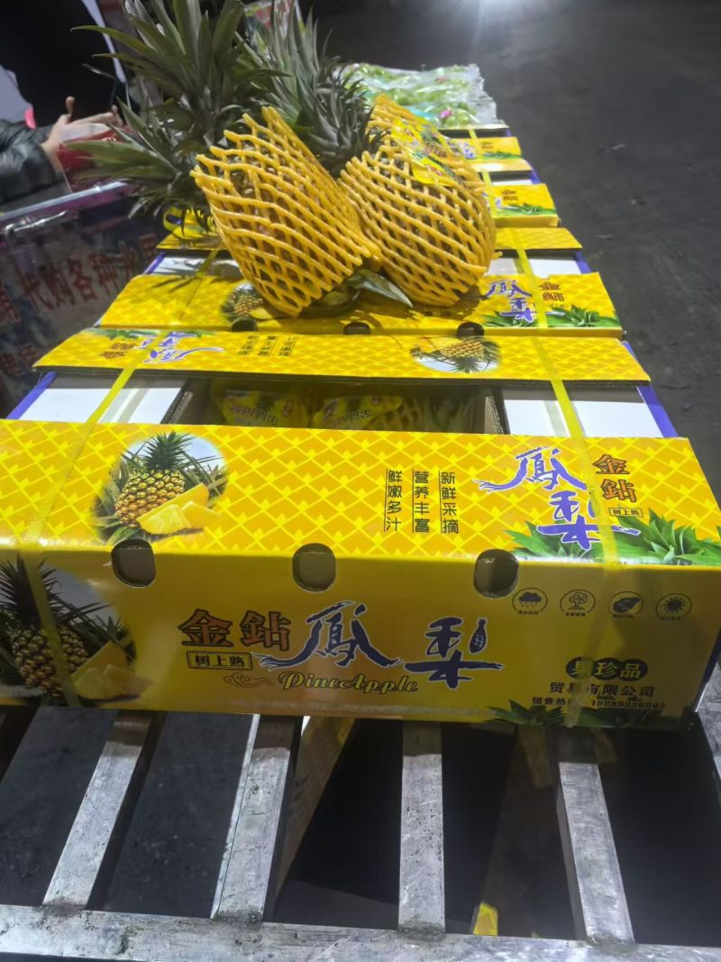 海南树熟金钻凤梨