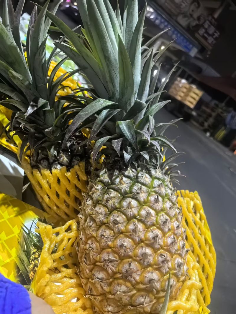 海南树熟金钻凤梨
