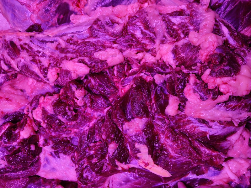 批发黄膘牛肉