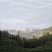 高山云雾茶
