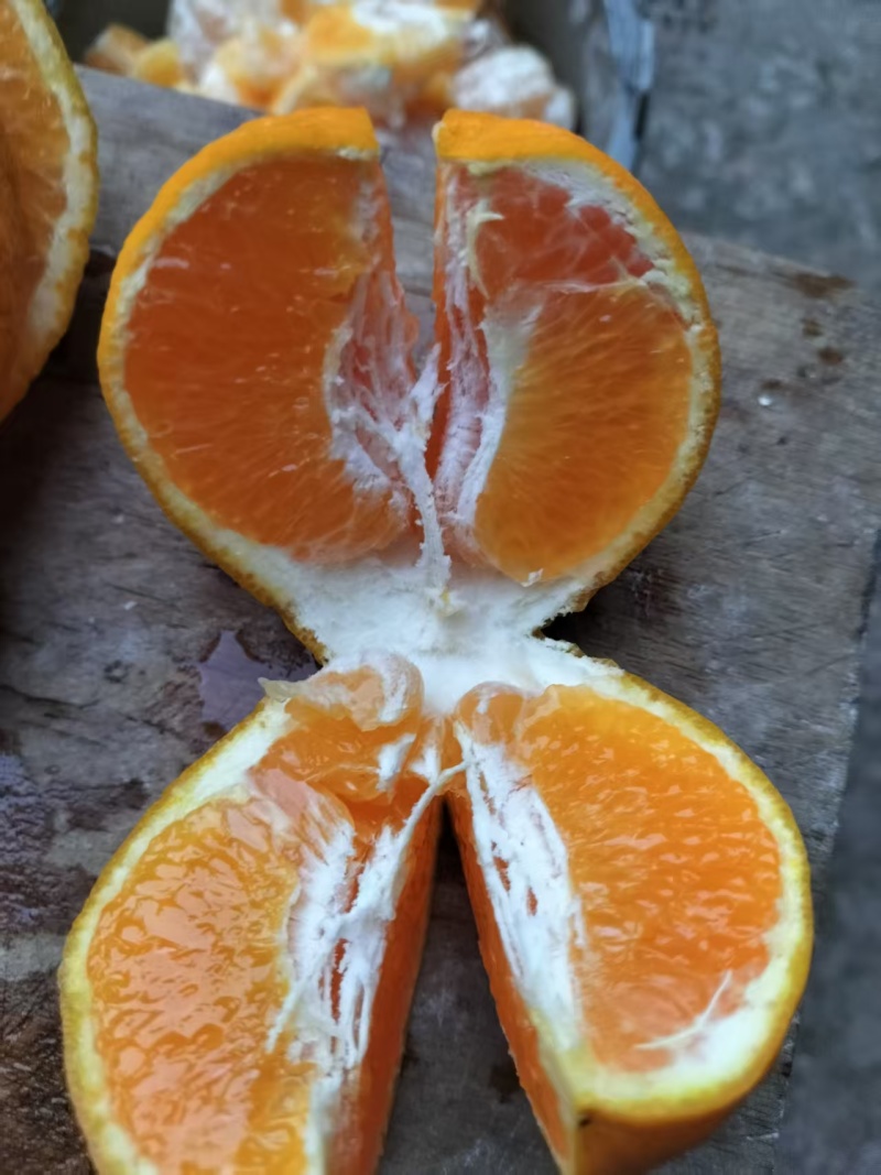纯甜多汁耙耙柑