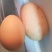 双黄鸡蛋