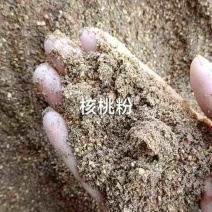 饲料核桃粉