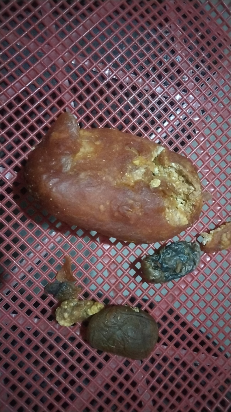 鸡宝