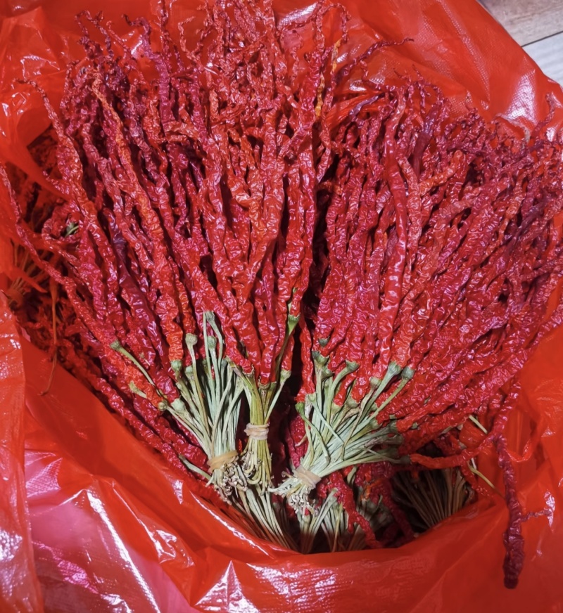 大方皱椒