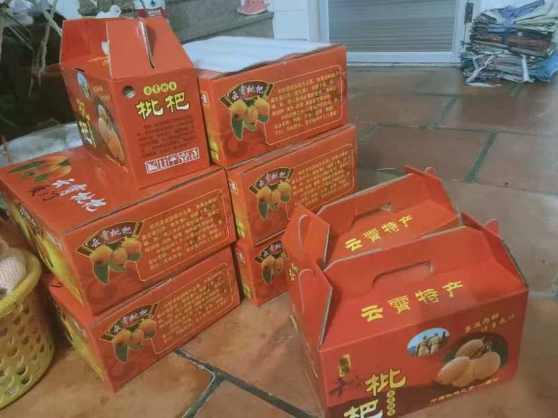 福建云霄枇杷
