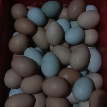 农家土鸡蛋