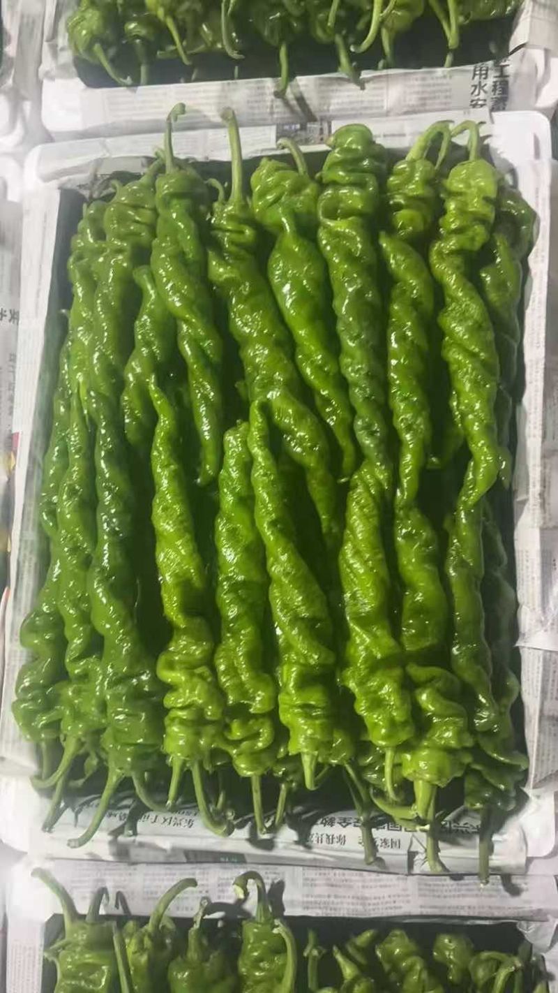 螺丝椒