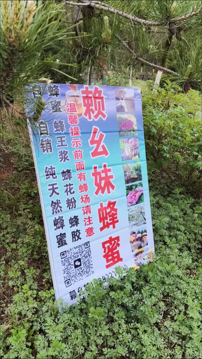 陕西宝鸡槐花蜜42度