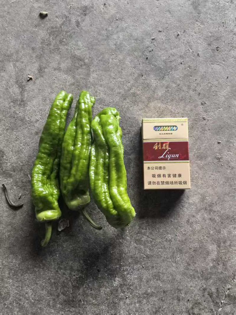 薄皮椒
