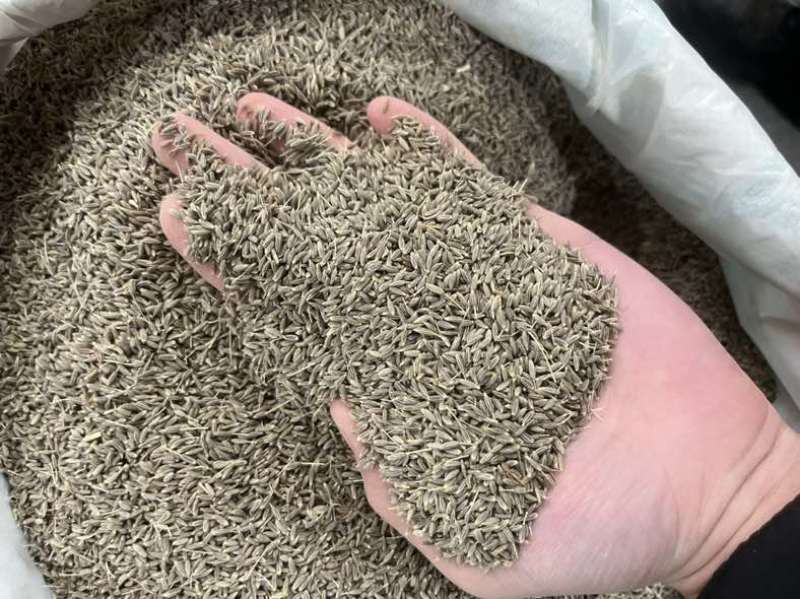 新疆孜然味美香浓