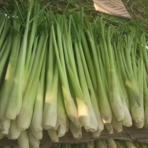 柠檬香茅草