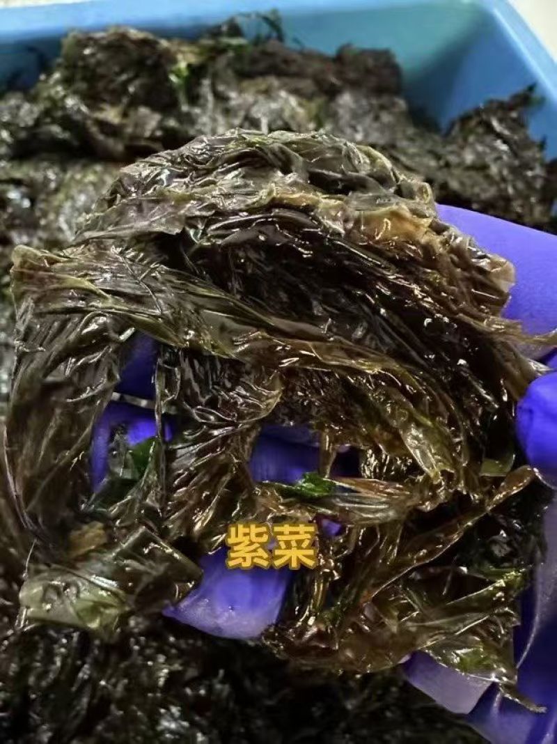 新鲜海菜不同海菜不同价位