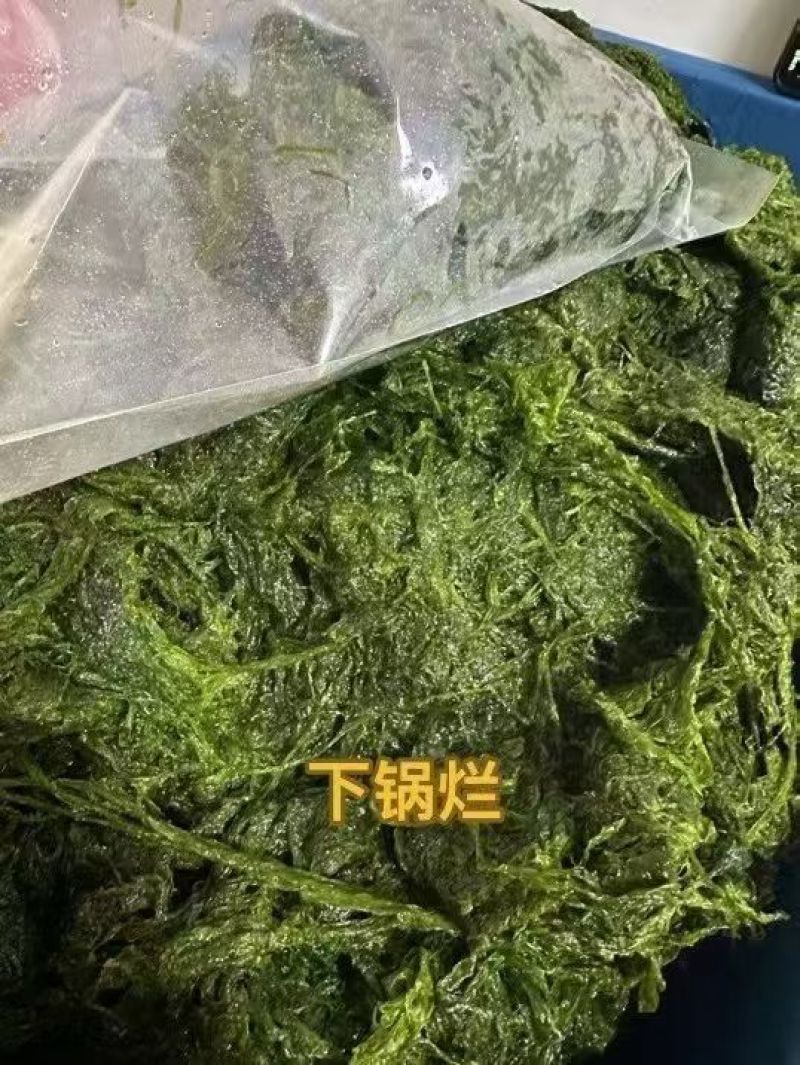 新鲜海菜不同海菜不同价位