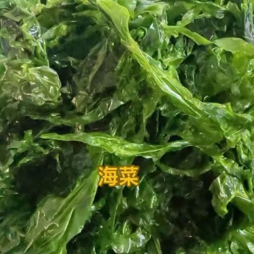 新鲜海菜不同海菜不同价位
