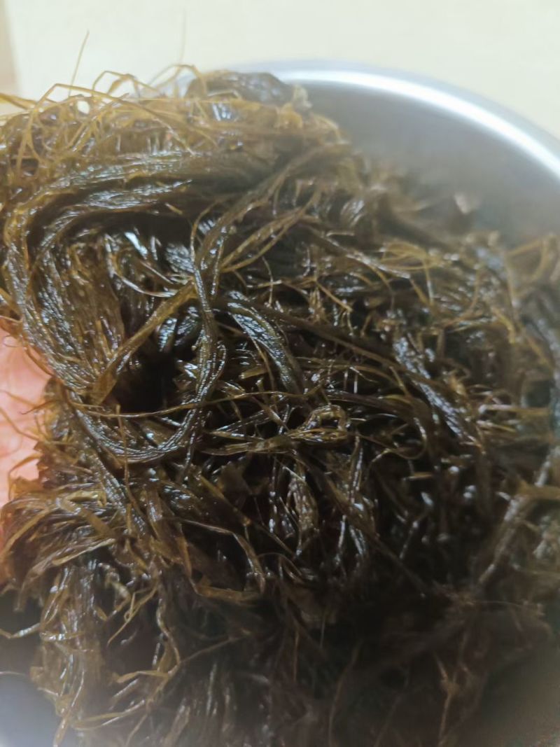 新鲜海菜不同海菜不同价位