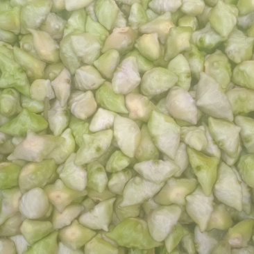 菱角