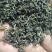 大众口粮茶，龙井茶，毛峰茶，银霜，乌牛早