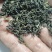 大众口粮茶，龙井茶，毛峰茶，银霜，乌牛早