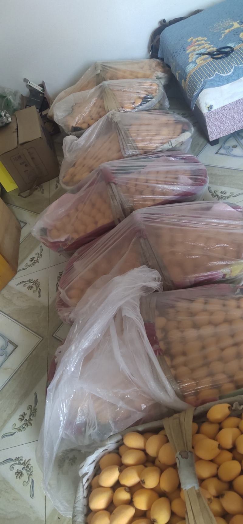 米易枇杷，价格便宜，欢迎老板前来