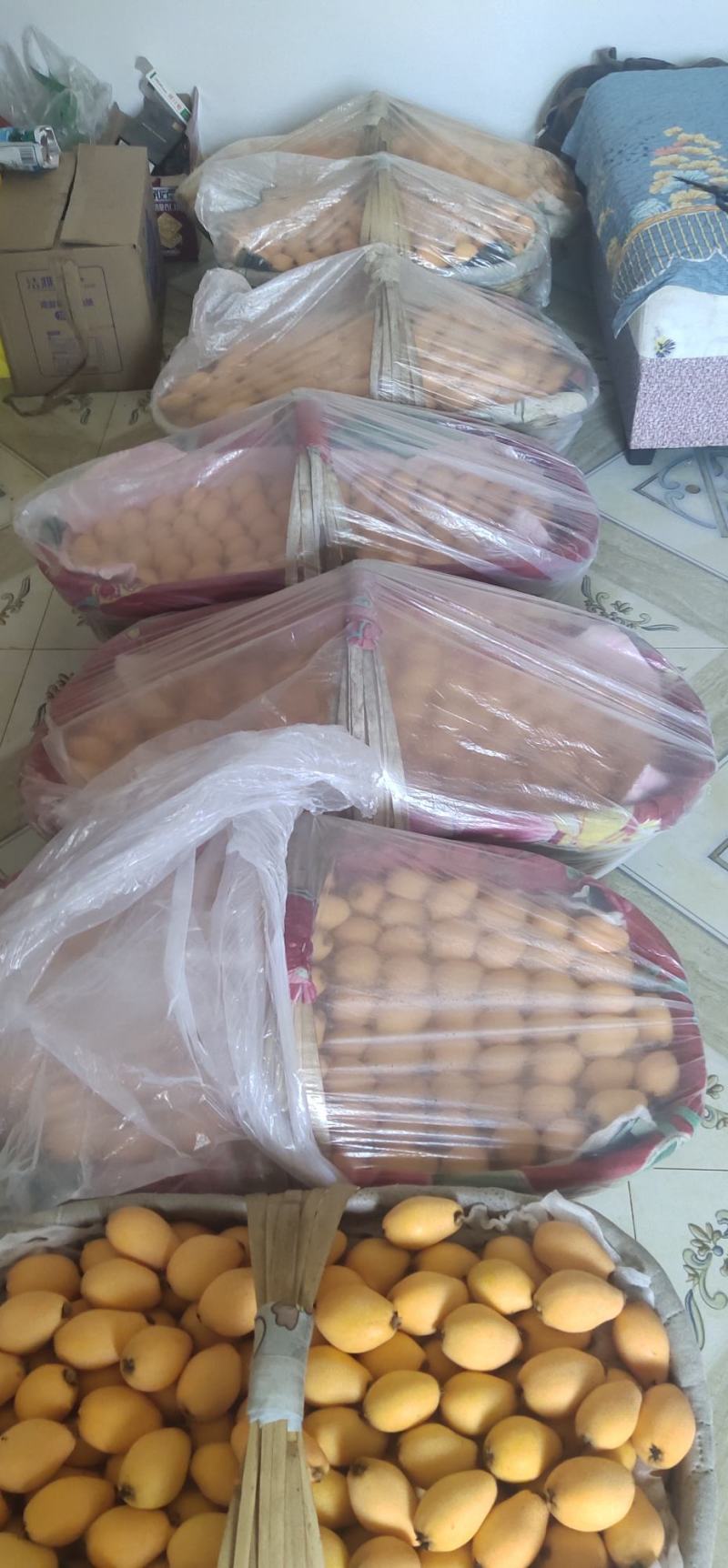 米易枇杷，价格便宜，欢迎老板前来