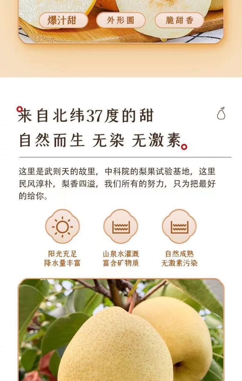 【果园自营】正宗山西贡梨应季新鲜水果薄皮核小山西产地直发包邮