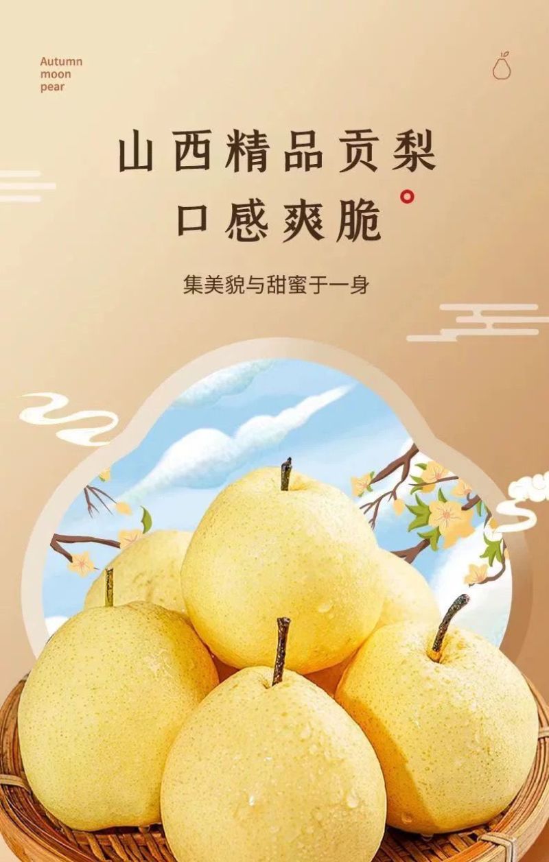 【果园自营】正宗山西贡梨应季新鲜水果薄皮核小山西产地直发包邮