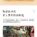 【果园自营】正宗山西贡梨应季新鲜水果薄皮核小山西产地直发包邮