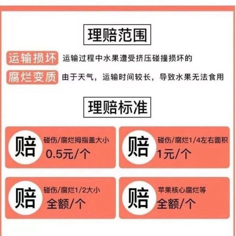 【果园自营】正宗山西贡梨应季新鲜水果薄皮核小山西产地直发包邮