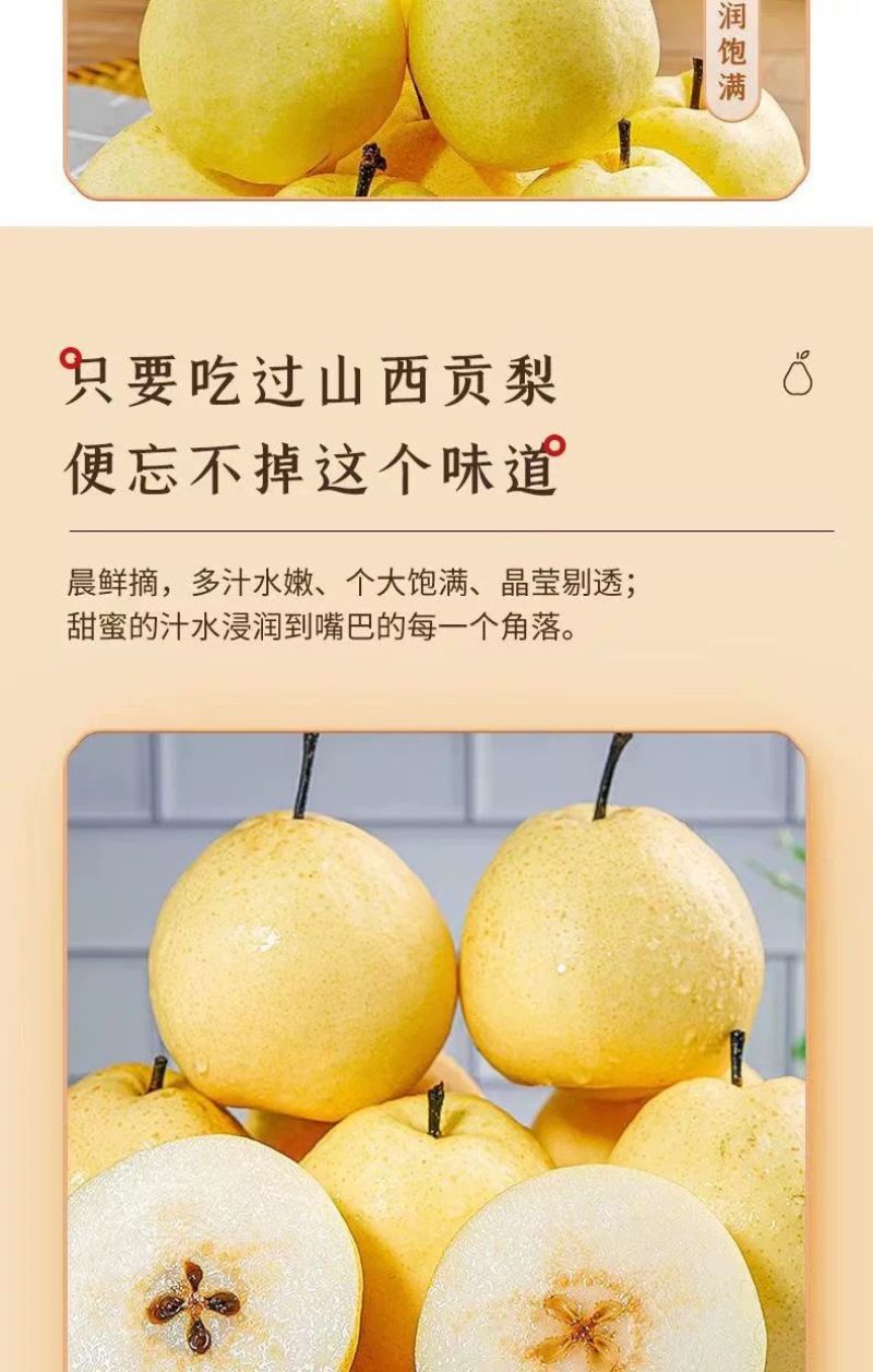 【果园自营】正宗山西贡梨应季新鲜水果薄皮核小山西产地直发包邮