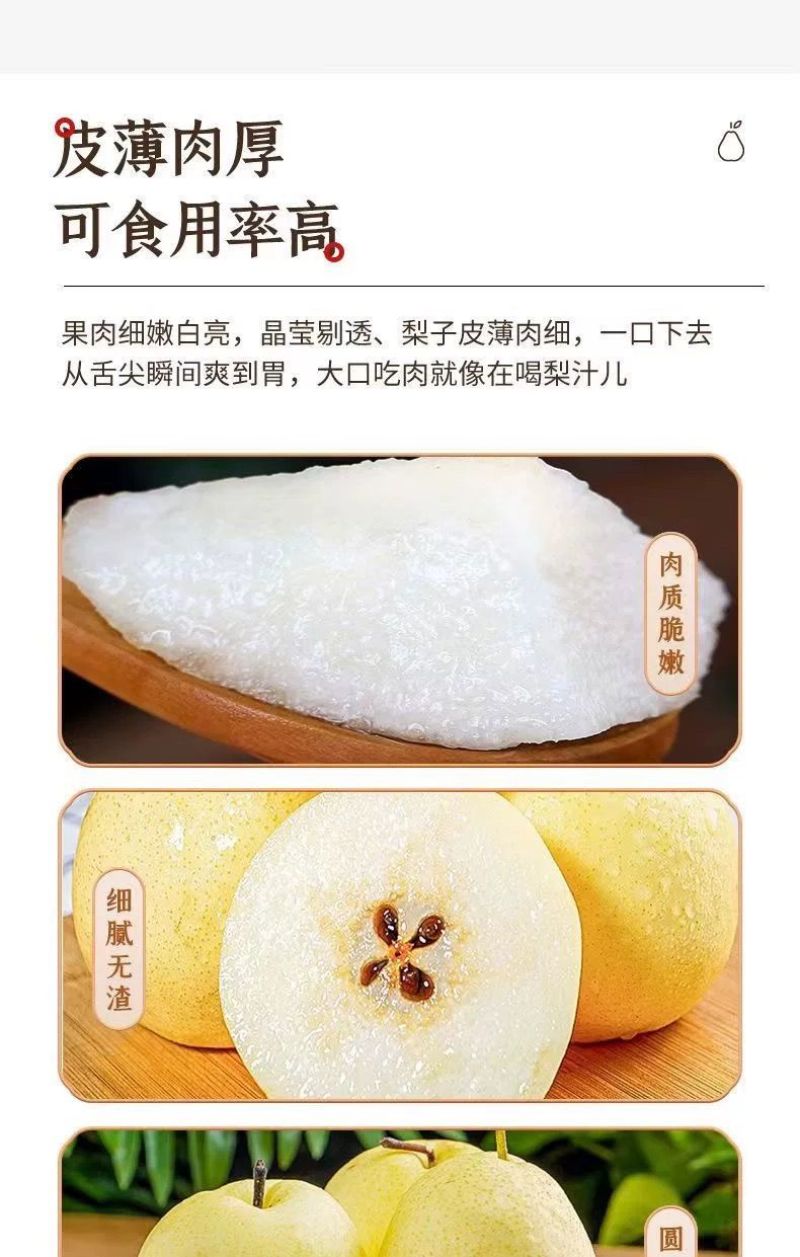 【果园自营】正宗山西贡梨应季新鲜水果薄皮核小山西产地直发包邮