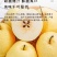 【果园自营】正宗山西贡梨应季新鲜水果薄皮核小山西产地直发包邮