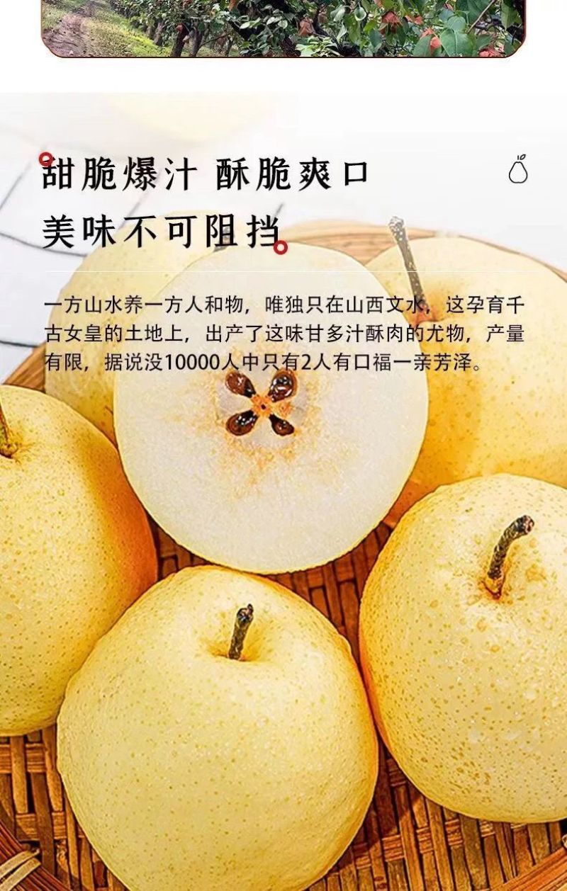 【果园自营】正宗山西贡梨应季新鲜水果薄皮核小山西产地直发包邮