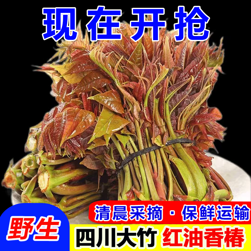 四川大竹香椿本地红油香椿