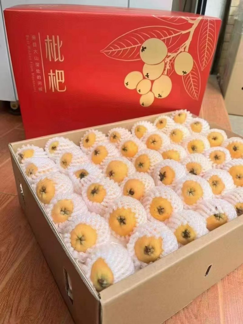 米易早春枇杷