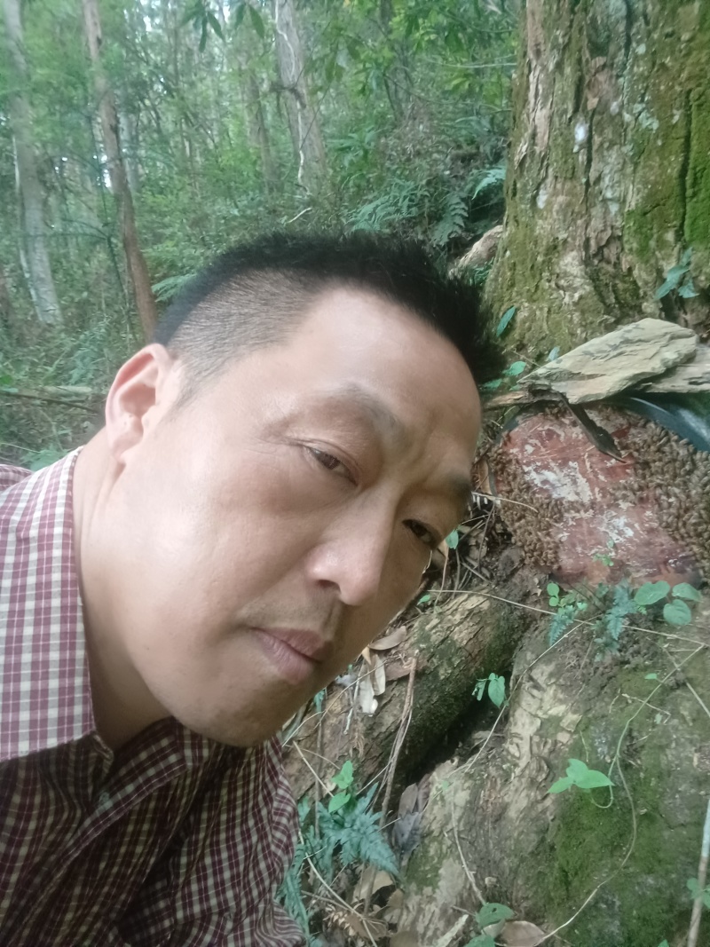 深山土蜂蜜