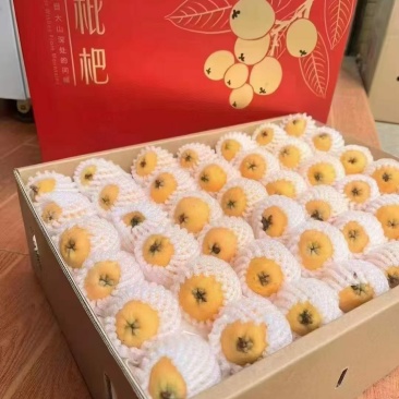 早春枇杷