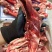 带肉羊腿骨