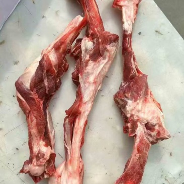 带肉羊腿骨