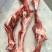 带肉羊腿骨