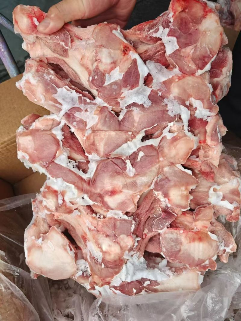 新鲜带肉前腿骨