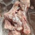 新鲜带肉前腿骨