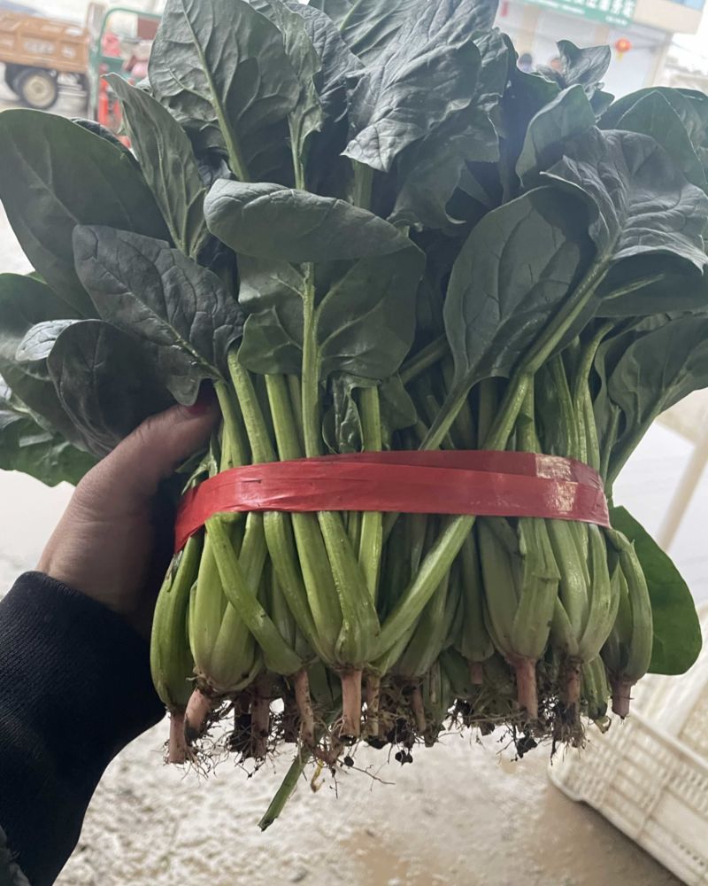 精品菠菜