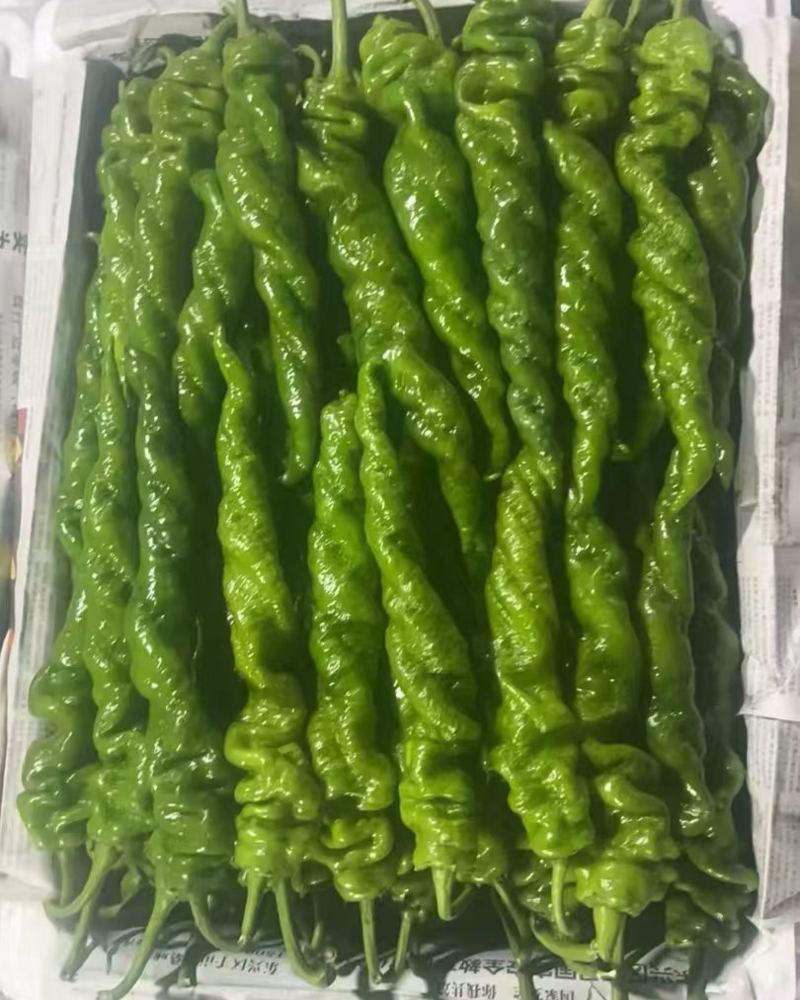 螺丝椒