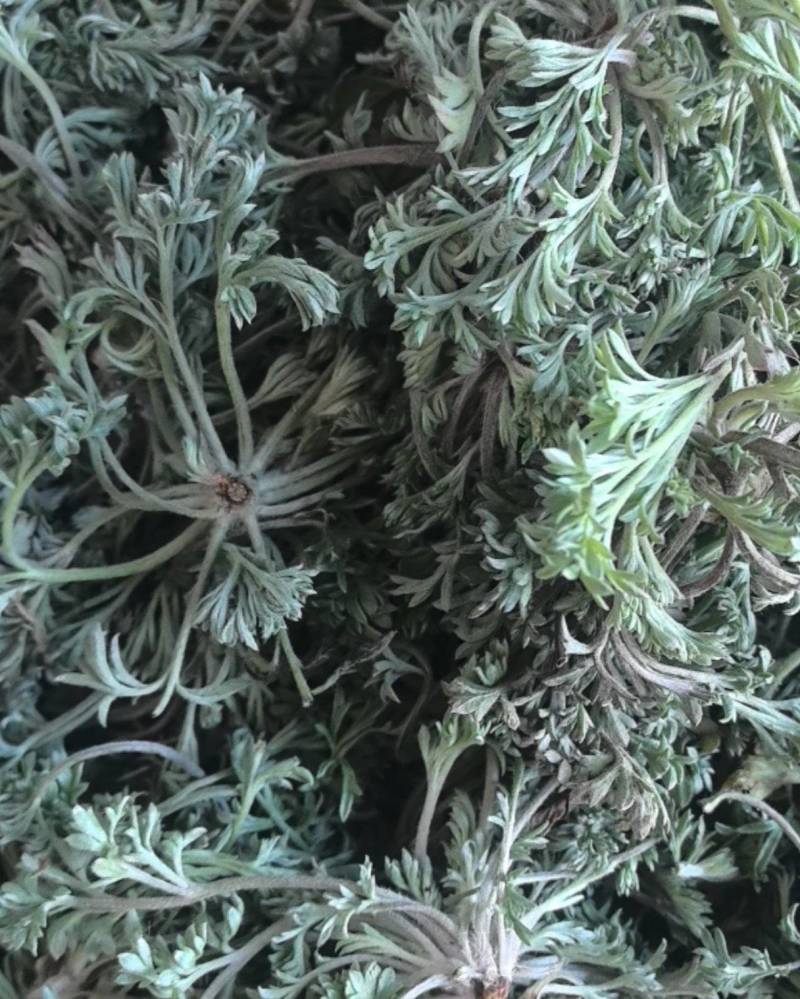 价格便宜，物美价廉